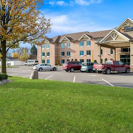 Comfort Inn & Suites Тейлор Екстер'єр фото
